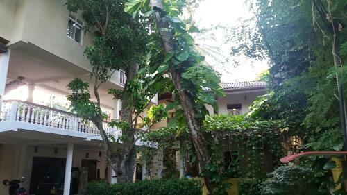 Hostal Sea Breeze Guest House