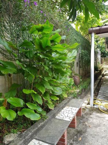 Homestay Kampung Selamat