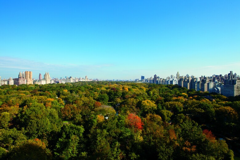 Hotel Ritz-carlton New York Central Park