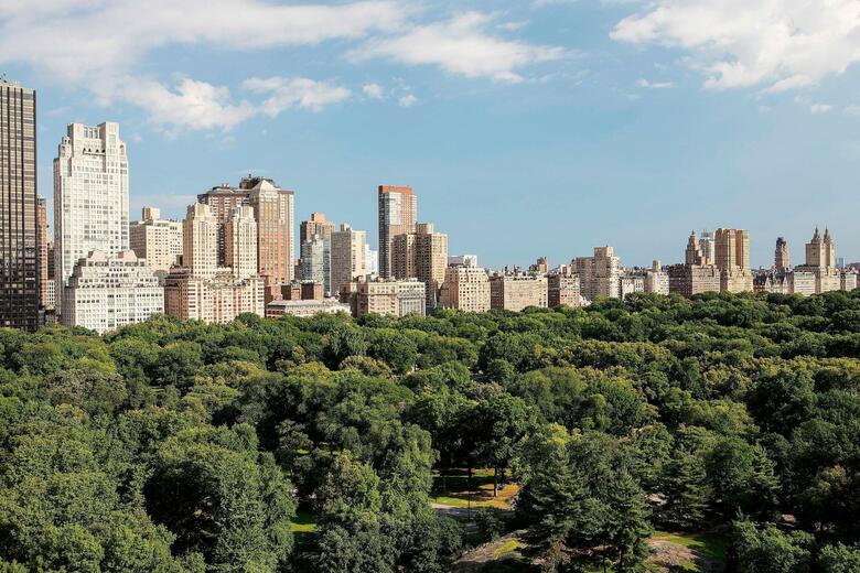 Hotel Ritz-carlton New York Central Park