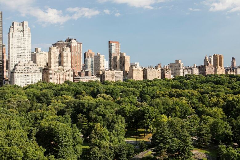Hotel Ritz-carlton New York Central Park
