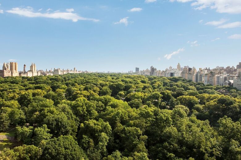 Hotel Ritz-carlton New York Central Park