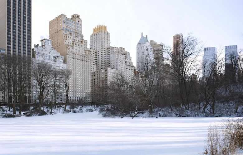 Hotel Ritz-carlton New York Central Park