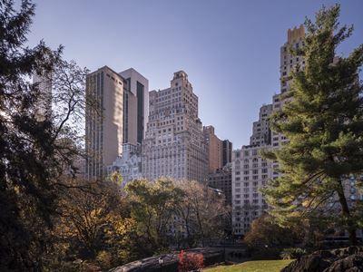 Hotel Ritz-carlton New York Central Park