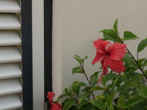 Bed & Breakfast Landhuis Bona Vista