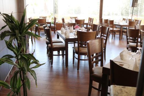 Olive Tree Hotel Amman