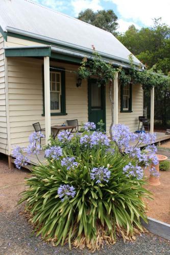Bed & Breakfast Elinike Guest Cottages