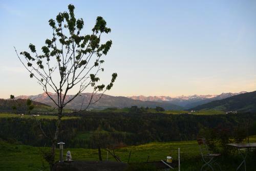 Posada Gasthof Adler