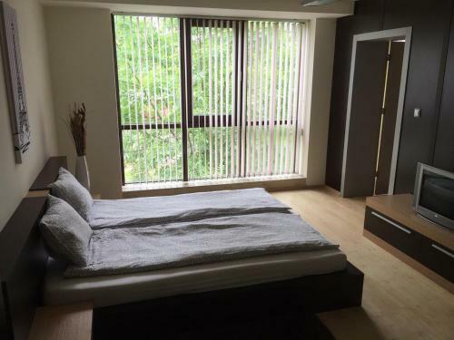 Apartamento Business Centre Slatina