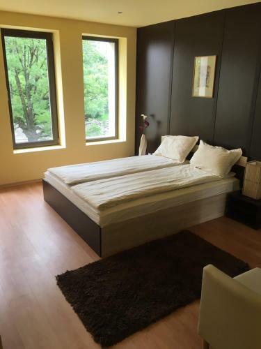 Apartamento Business Centre Slatina