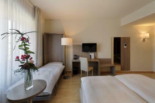Hotel H�tel De La Rose