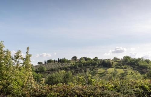 Apartamento Residenza Il Falchetto