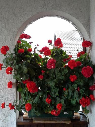 Apartamento Appartamenti Solaria