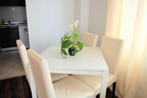 Villa Antigona Apartments