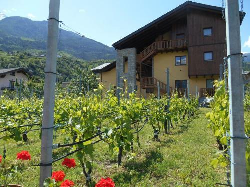 Apartamento La Vigne De Papagran
