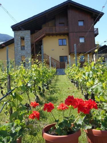 Apartamento La Vigne De Papagran