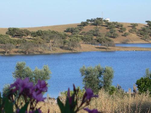 Hostal Alandroal Guest House - Solar De Charme