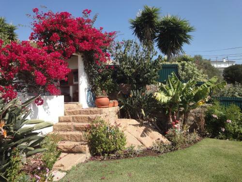 Orchidea Terrace