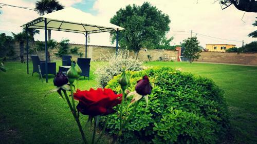 Bed & Breakfast Elegance Apartment