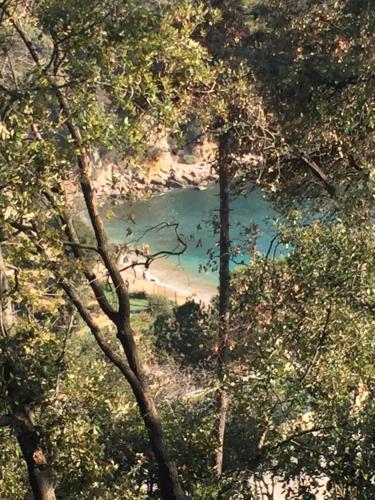 Apartamento La Pieve Di Luca