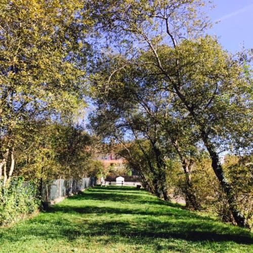 Camping Playa Sauces