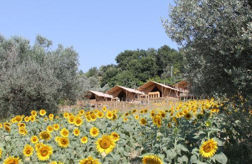 Lodge Country House Il Girasole