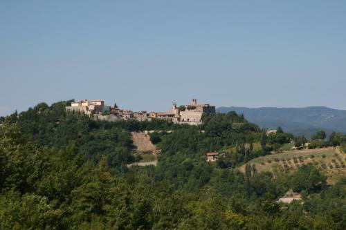 Campo Della Fiora