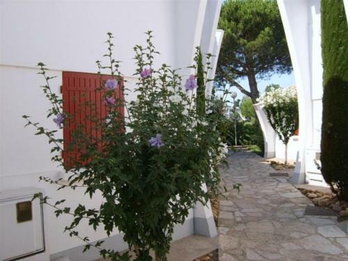 Apartamento Green Village