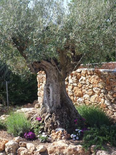 Bed & Breakfast Le Clos Des Cambres