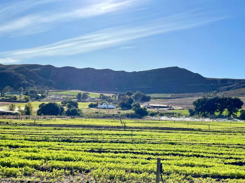 Agroturismo Blue Cow Barn - Boutique Farm