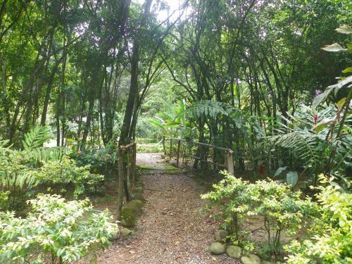 Hotel Amanwana Ecofinca