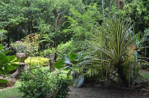 Hotel Amanwana Ecofinca