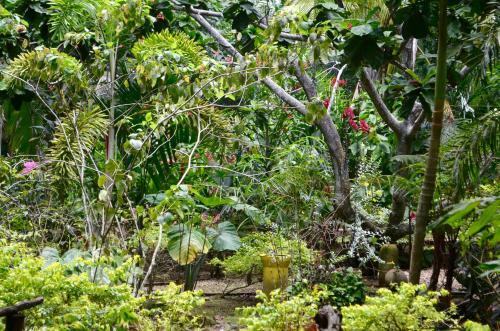 Hotel Amanwana Ecofinca