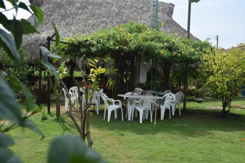 Palomino Breeze Hostal