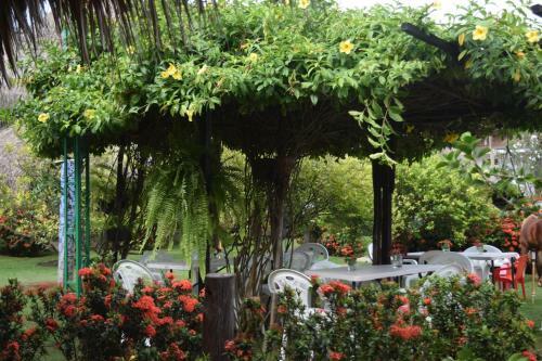Palomino Breeze Hostal