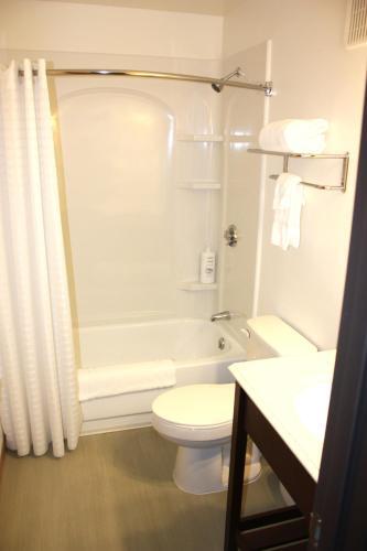 Motel Rewak Studios