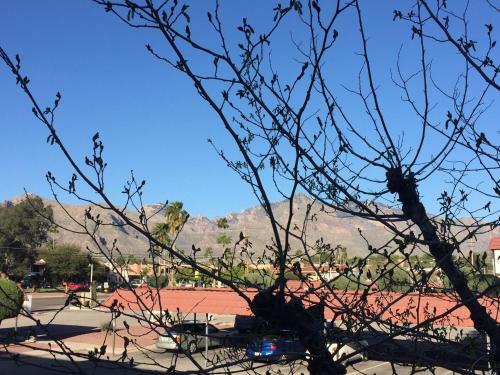 Apartamento Casas Adobes Condo