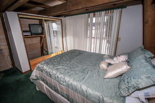 Leader On Cedar #1115