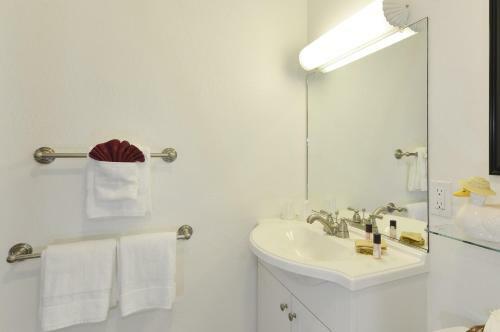 Stahlecker House B&B