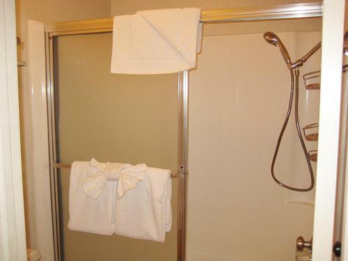 Apartamento Bigwood 37