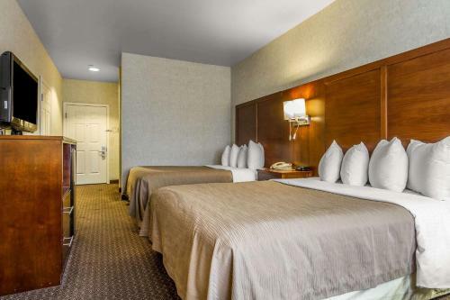 Hotel Quality Inn San Jose
