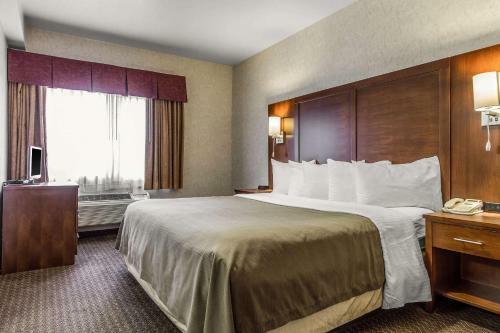Hotel Quality Inn San Jose