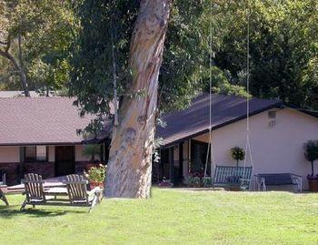 Posada Peach Tree Inn