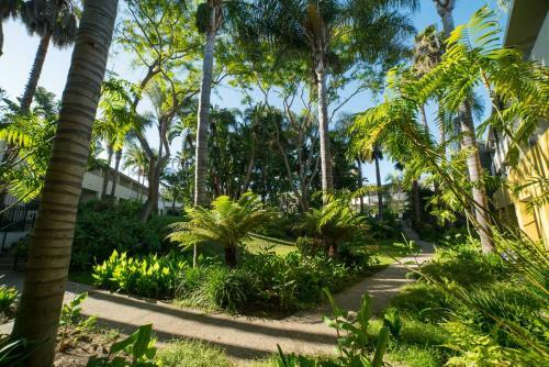 Hotel Lemon Tree Inn