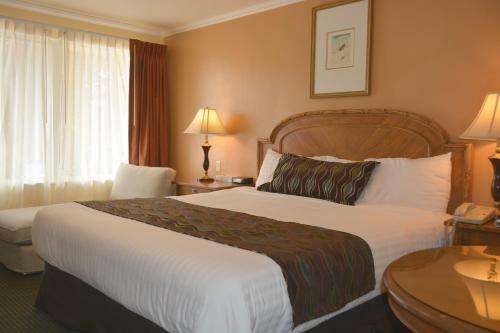 Motel Oasis Inn And Suites
