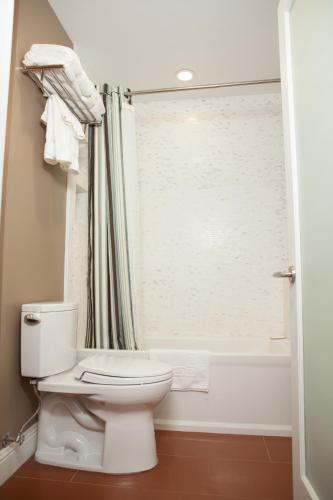Apartamento Castro Luxury Rental
