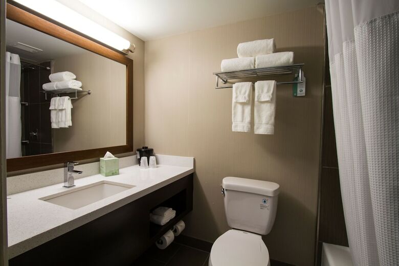 Hotel Holiday Inn Victorville