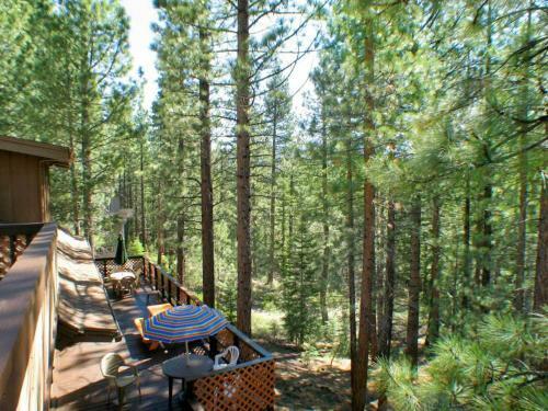 Tahoe Tree House