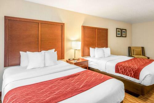 Hotel Comfort Inn Central Weed