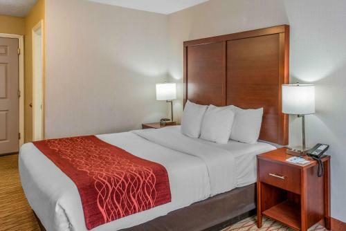 Hotel Comfort Inn Central Weed